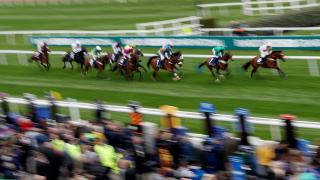 Runners in action at Aintree Racecourse